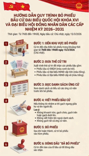 ✨ CỬ TRI LƯU Ý ✨