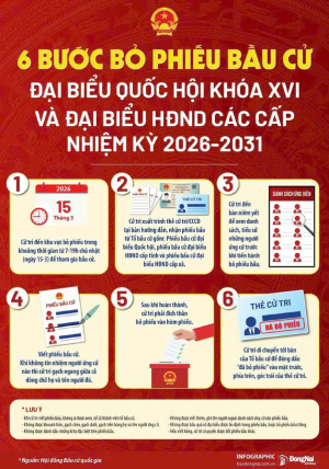 6 BƯỚC BỎ PHIẾU BẦU CỬ