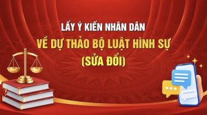 HINH