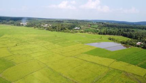 Đảng bộ và Chính quyền xã Hưng Phước: Dấu ấn lãnh đạo toàn...