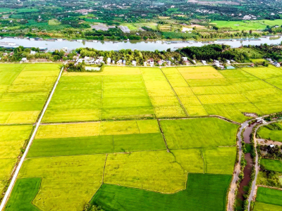 Về việc công khai tình hình thực hiện dự toán ngân sách xã 9 tháng đầu năm 2026