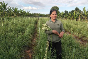 Gương Hội viên Phụ nữ chăm chỉ, siêng năng làm kinh tế giỏi từ mô hình trồng Hoa Huệ Trắng