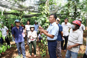 Hội Nông dân xã Hưng Phước tập huấn kỹ thuật chăm sóc hồ tiêu theo hướng bền vững