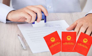 Thông báo về việc đính chính các Quyết định chuyển mục đích sử dụng đất