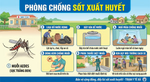 Xin ảnh minh họa về phòng chống sốt xuất huyết
