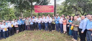 Đoàn cán bộ lãnh đạo trẻ 3 Đảng: Việt Nam - Lào - Campuchia khảo sát thực tế mô hình trồng ca cao tại xã Hưng Thịnh