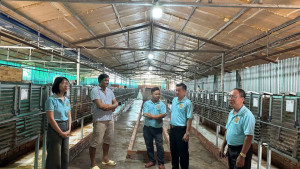 HỘI NÔNG DÂN XÃ HƯNG THỊNH THAM QUAN, HỌC HỎI CÁC MÔ HÌNH...