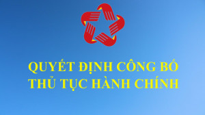 Công bố danh mục thủ tục hành chính sửa đổi, bổ sung ..ngành thanh tra ..