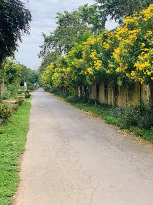 Kế hoạch Tổ chức Đối thoại giữa Người đứng đầu Cấp ủy, Chính quyền với Nhân dân năm 2025