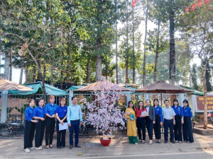 XÃ LA NGÀ TỔ CHỨC HỘI THI THIẾT KẾ HOA MAI, HOA ĐÀO TRANG TRÍ TUYẾN ĐƯỜNG TRỌNG ĐIỂM MỪNG XUÂN BÍNH NGỌ 2026