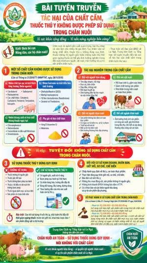TUYÊN TRUYỀN TÁC HẠI CỦA CHẤT CẤM, THUỐC THÚ Y KHÔNG ĐƯỢC...