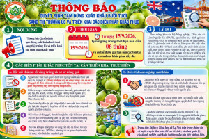 INFOGRAPHIC TUYÊN TRUYỀN