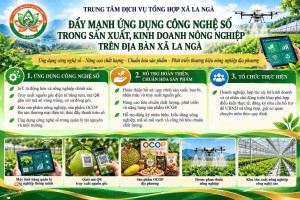 ĐẨY MẠNH ỨNG DỤNG CÔNG NGHỆ SỐ TRONG SẢN XUẤT KINH DOANH...