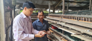 Từ ngày 01/01/2026: Nâng mức cho vay hỗ trợ tạo việc làm, duy trì, mở rộng việc làm