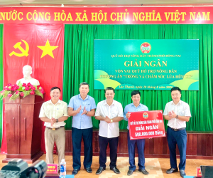 Lộc Thạnh giải ngân 500 triệu đồng hỗ trợ nông dân trồng lúa...