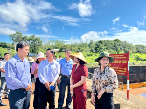 Phó Chủ tịch UBND thành phố Nguyễn Thị Cát Tiên khảo sát...