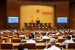 04 nghị định hướng dẫn Luật Cán bộ, công chức năm 2025 có hiệu lực từ ngày 01/7