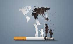 Cuộc thi thiết kế bài giảng về phòng, chống tác hại của thuốc lá năm 2025
