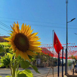 BAN CHQS XÃ LỘC HƯNG CHUẨN BỊ CÔNG TÁC ĐÓN TẾT, TRANG TRÍ...