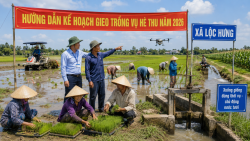 Hướng dẫn gieo trồng vụ Hè Thu năm 2026