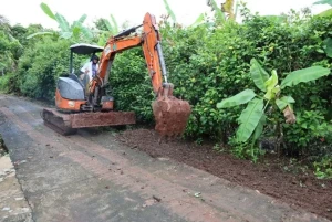 Picture1