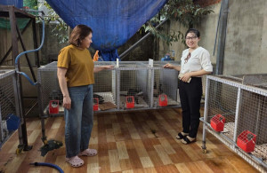 Hội Nông dân phường Lộc Ninh thăm mô hình nuôi chồn hương  mang lại hiệu quả kinh tế cao