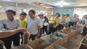 HỘI NÔNG DÂN PHƯỜNG MINH HƯNG THAM QUAN, HỌC TẬP  MÔ HÌNH KINH TẾ TẠI PHƯỜNG LỘC NINH