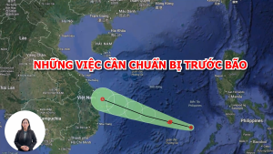 NHỮNG VIỆC CẦN CHUẨN BỊ TRƯỚC BÃO