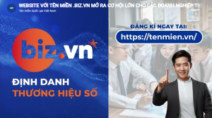 WEBSITE VỚI TÊN MIỀN .BIZ.VN MỞ RA CƠ HỘI LỚN CHO CÁC DOANH NGHIỆP TRÊN KHÔNG GIAN MẠNG