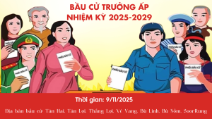 Hoài cổ Cây cọ Mùa hè Hình nền máy tính