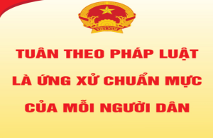 Hưởng ứng ngày Pháp luật Việt Nam