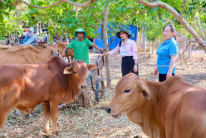 Nâng mức cho vay hỗ trợ, duy trì, mở rộng việc làm từ ngày 01/01/2026
