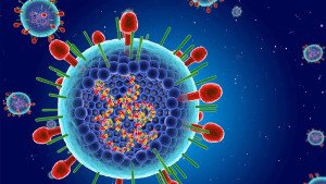 Tăng cường các biện phòng, chống bệnh cúm mùa, bệnh do virus hợp bào hô hấp và bệnh tay chân miệng