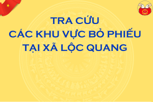 Tra cứu các khu vực bỏ phiếu tại xã Lộc Quang