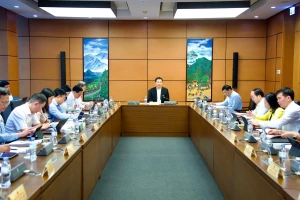 Thành lập thành phố Đồng Nai trực thuộc Trung ương: ‘Chiếc...