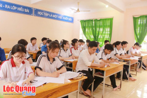Lộc Quang xây dựng Kế hoạch thực hiện sắp xếp mạng lưới cơ...