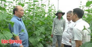 Bí thư Đảng uỷ xã Lộc Quang thăm các mô hình phát triển kinh...
