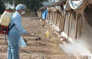 Lộc Quang triển khai Tháng vệ sinh, tiêu độc, khử trùng...