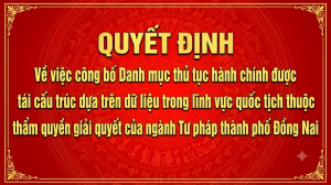 Danh mục thủ tục hành chính được tái cấu trúc dựa trên dữ liệu trong lĩnh vực quốc tịch thuộc thẩm quyền giải quyết của ngành Tư pháp thành phố Đồng Nai