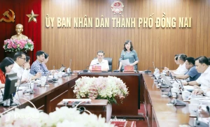 Tuần lễ Văn hóa - Đại đoàn kết thành phố Đồng Nai năm 2026...