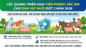 Lộc Quang triển khai tiêm phòng vắc xin cho đàn vật nuôi đợt...