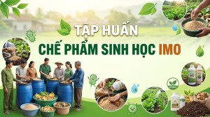 LỘC QUANG TỔ CHỨC TẬP HUẤN CHUYỂN GIAO QUY TRÌNH SẢN XUẤT VÀ...