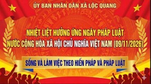 Tầm quan trọng của ngày Pháp luật Việt Nam