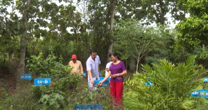 Lộc Quang - Điểm sáng mô hình “Đông - Tây y kết hợp”