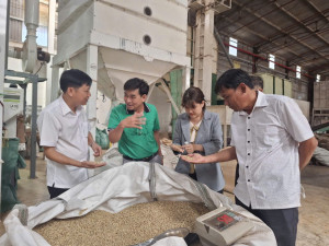 CHỦ TỊCH UBND XÃ LỘC TẤN THAM QUAN KHU SẢN XUẤT SẢN PHẨM OCOP CỦA CÔNG TY TNHH MTV TM MỸ LỆ