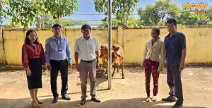 Xã Lộc Tấn tổ chức trao 8 cặp bò giống hỗ trợ đa dạng hóa sinh kế năm 2025