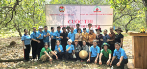 Lộc Tấn: Tổ chức Hội thi “Nhặt hạt điều giỏi”, tôn vinh đặc sản địa phương