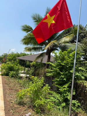 Thông báo về việc thay thế, điều chỉnh biển hiệu và tổ chức các hoạt động chào mừng thành lập thành phố Đồng Nai