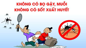 Tuyên truyền diệt bọ gậy, lăng quăng phòng chống sốt xuất huyết năm 2026