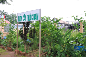 Tự hào truyền thống Đông y Việt Nam - 80 năm kế thừa và lan tỏa giá trị y học dân tộc